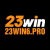 23win6pro